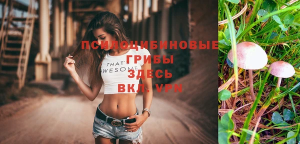 соль курить ск Михайлов