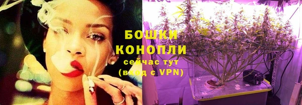 ешки Туринск