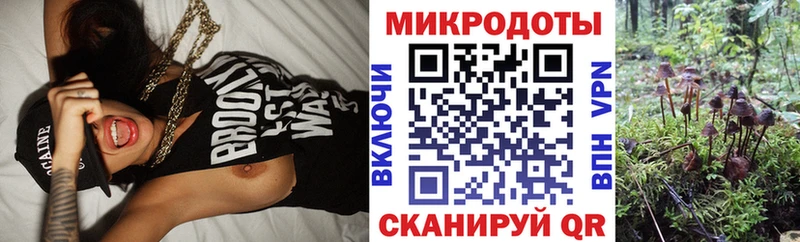 Галлюциногенные грибы Cubensis ОМГ ОМГ ссылки Щёкино купить